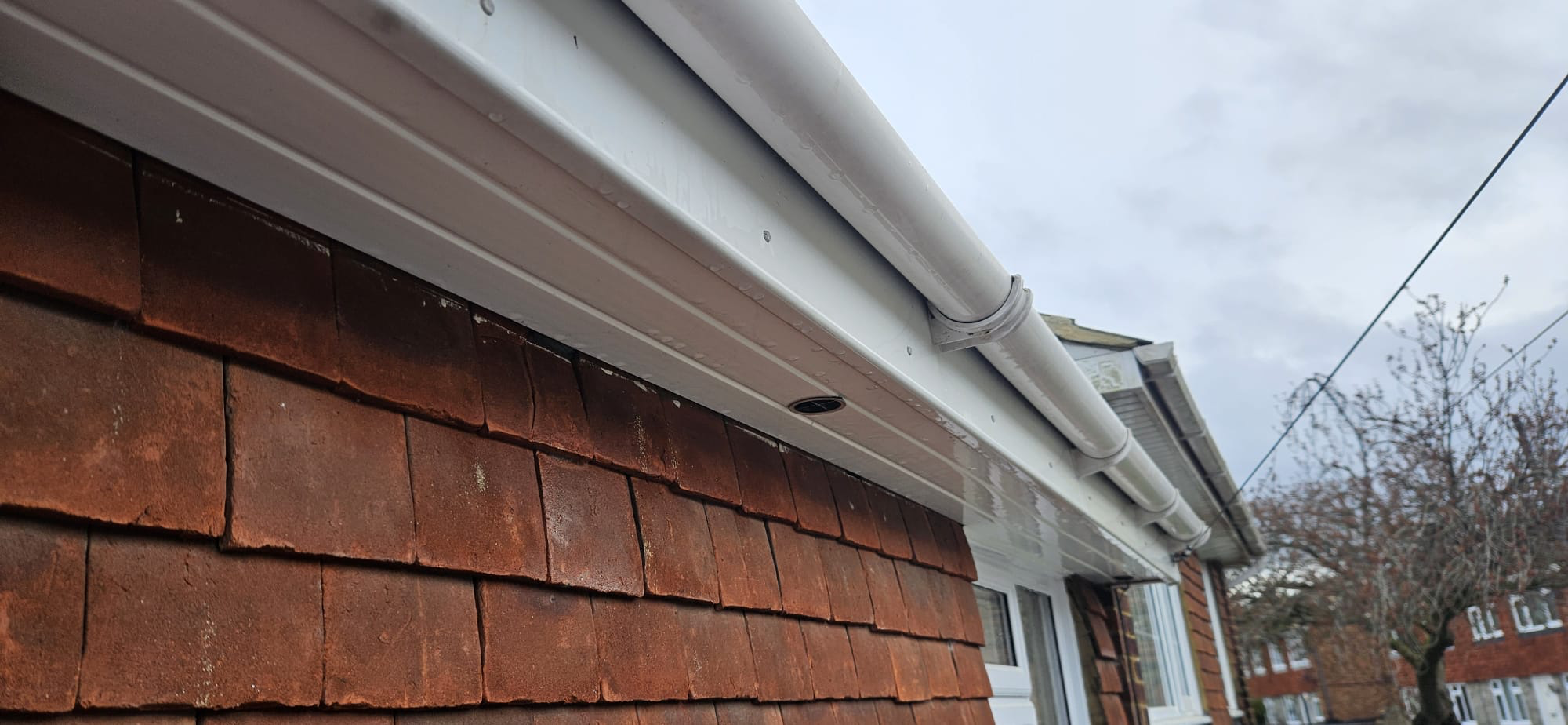 Fascias and soffits cleaning